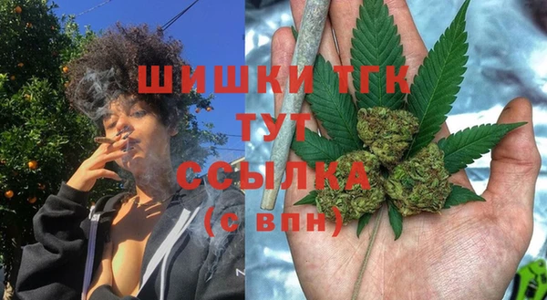 ПСИЛОЦИБИНОВЫЕ ГРИБЫ Навашино