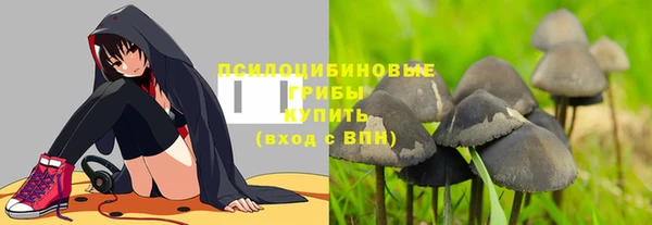 ПСИЛОЦИБИНОВЫЕ ГРИБЫ Навашино