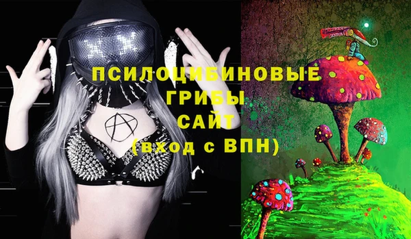 ПСИЛОЦИБИНОВЫЕ ГРИБЫ Навашино